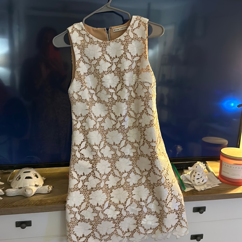 Alice and olivia dress